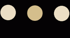 92%暗示正在进修或功课中利用过AI 